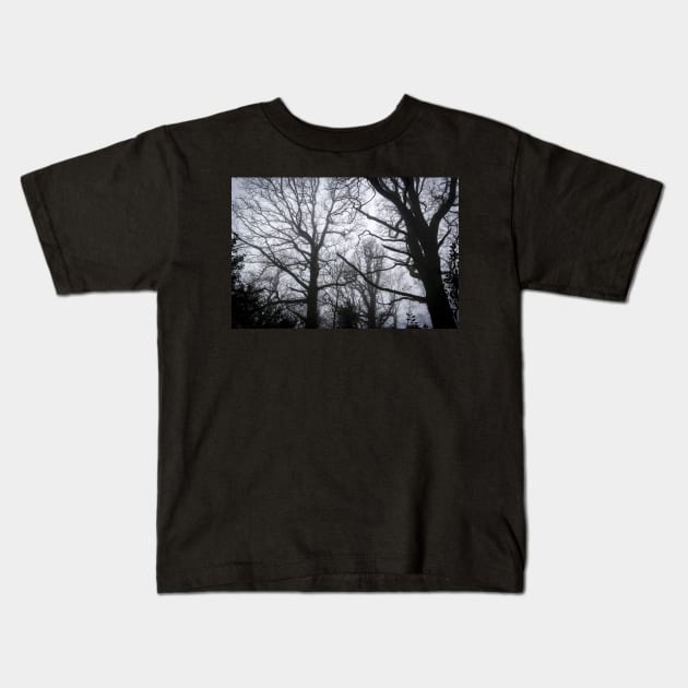 Tree Skeletons in fog Kids T-Shirt by heidiannemorris